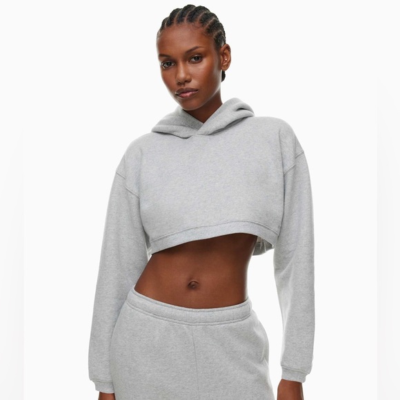 Aritzia Cozy Fleece Perfect Shrug Hoodie - Picture 1 of 3